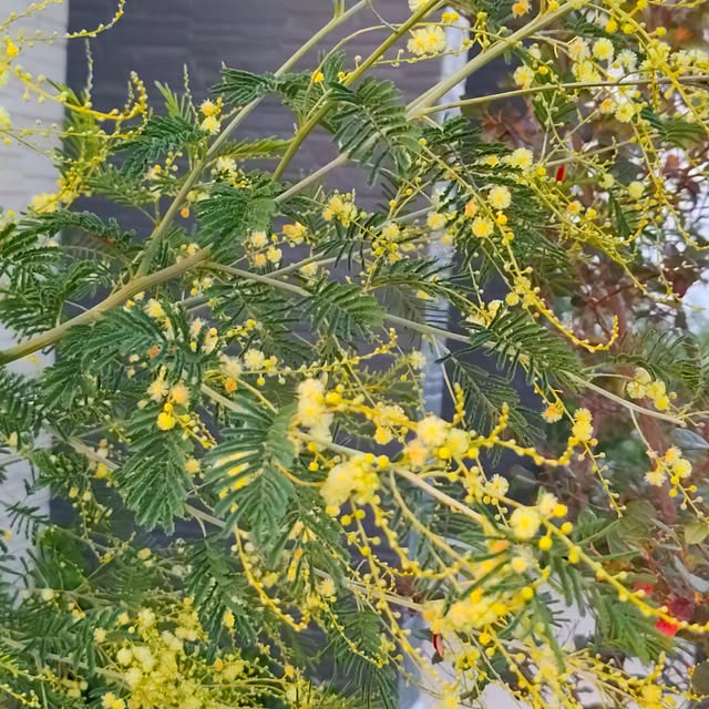 eriponさんの実例写真