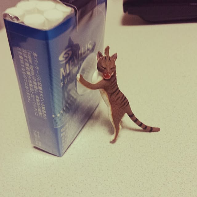 Naomiさんの実例写真