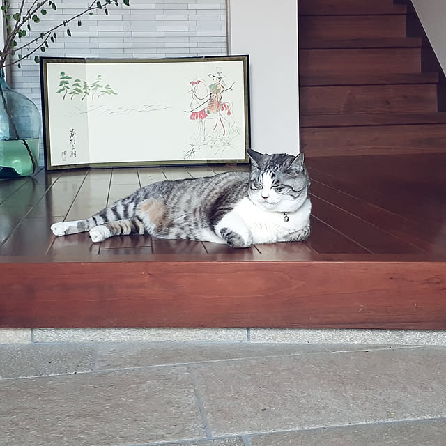 hana-さんの実例写真