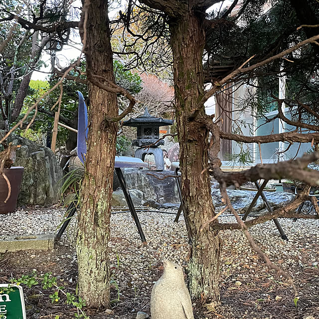shin0719さんの実例写真