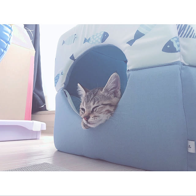 __o0nonさんの実例写真