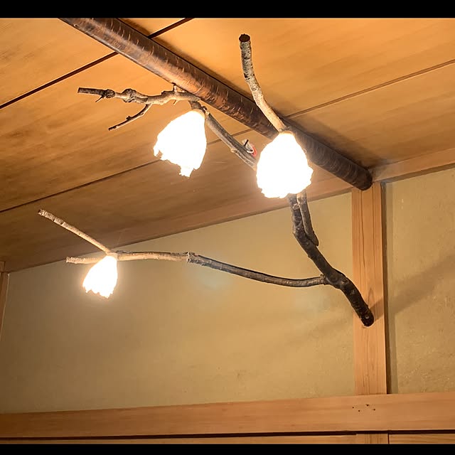 tsuruchinさんの実例写真