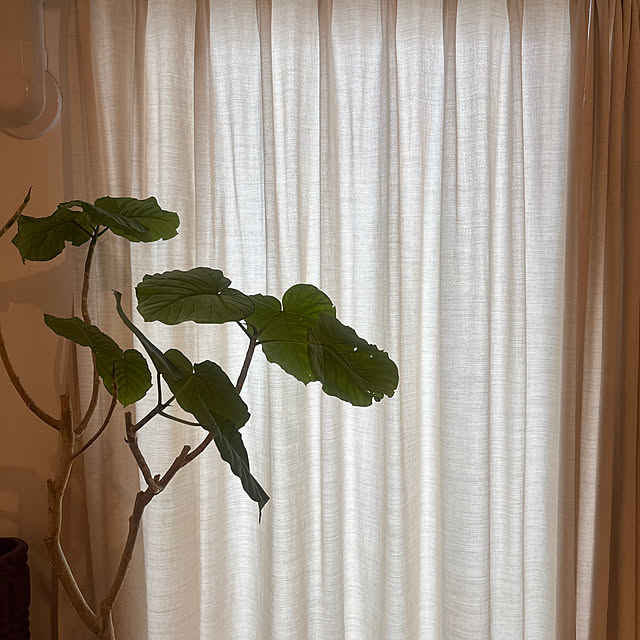 nikohareさんの実例写真