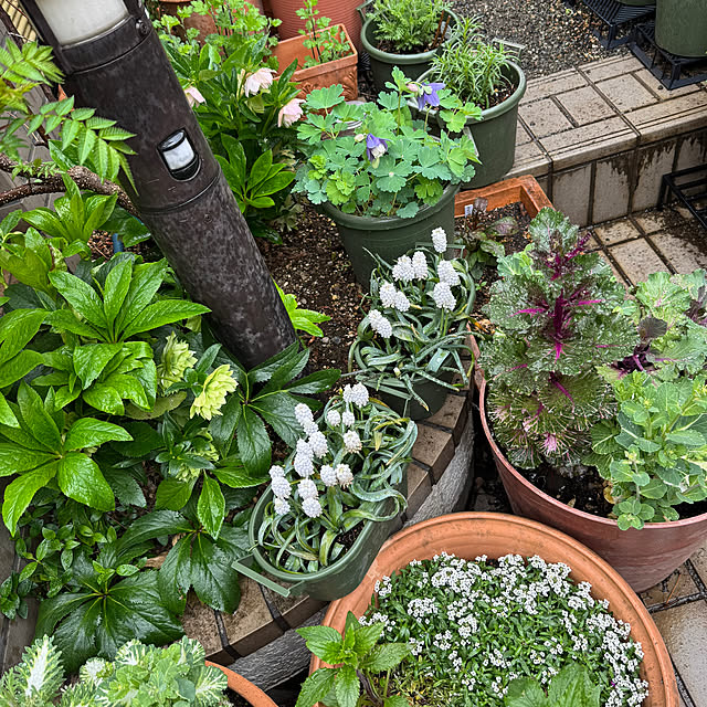 mamizaさんの部屋