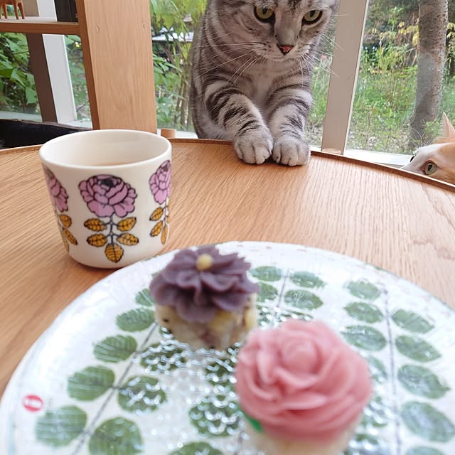 asmaさんの部屋