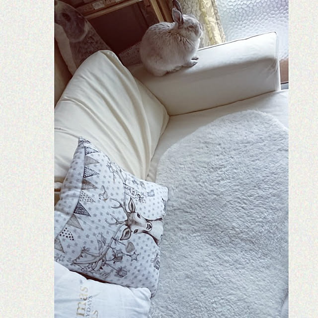 yokomokoさんの実例写真