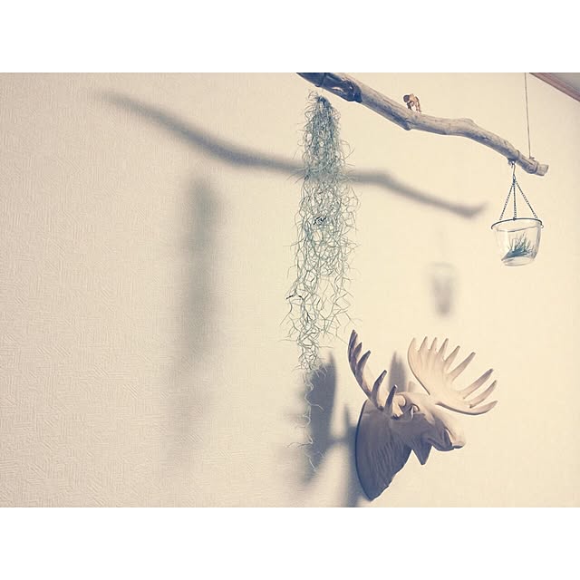 takaya.iさんの実例写真