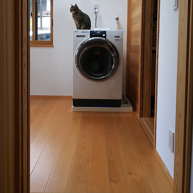 youkoasaさんの実例写真
