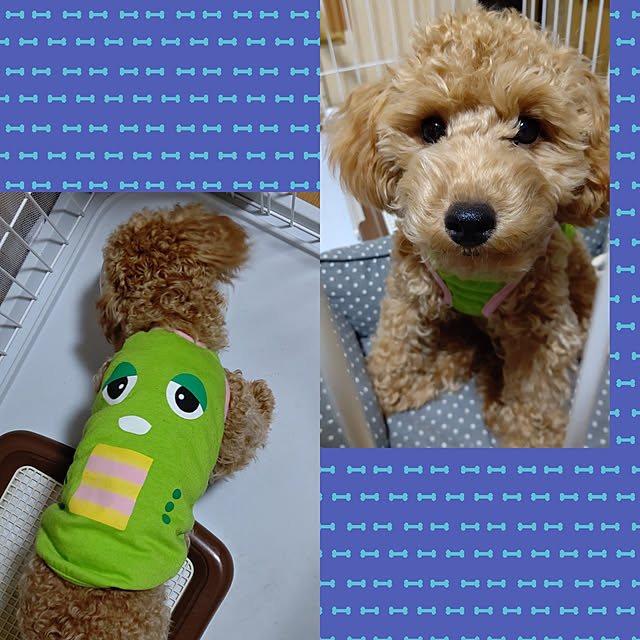 yumirinさんの実例写真
