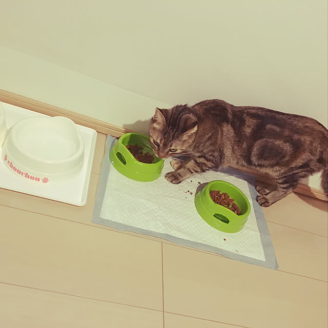 nomu2さんの実例写真