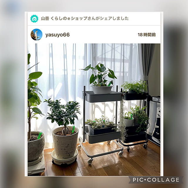 yasuyo66さんの実例写真