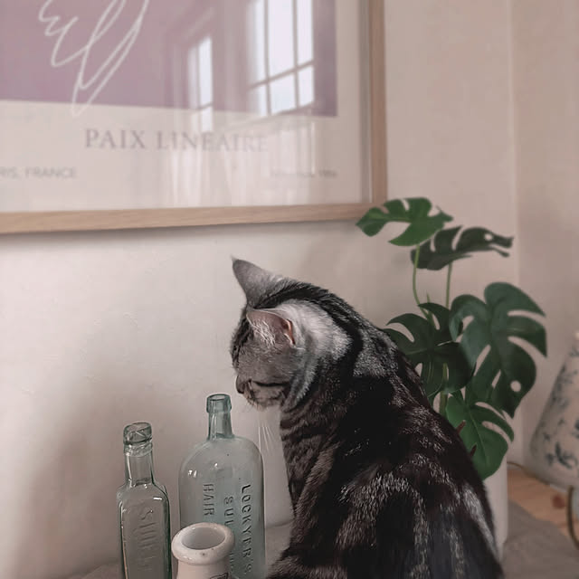 meeさんの実例写真