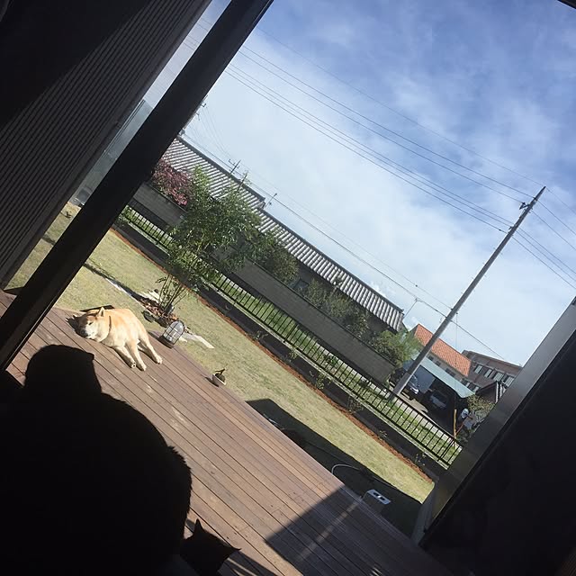 Chuppeetaさんの実例写真