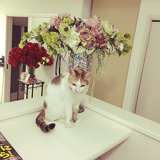 Fumikaさんの実例写真