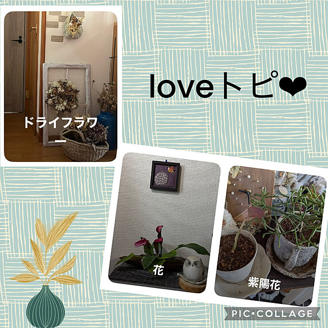 CoCo0617さんのお部屋の写真