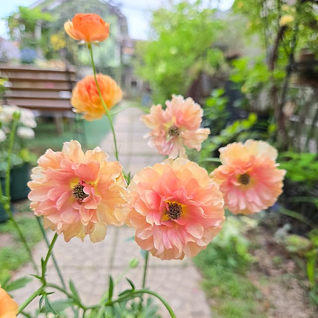 min_nimさんの実例写真