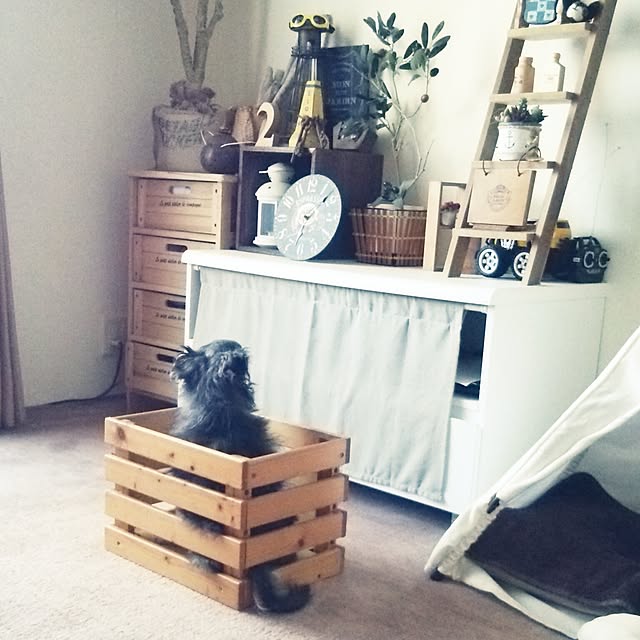 satominさんの実例写真