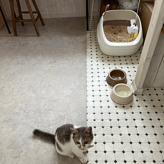 comiriさんの部屋