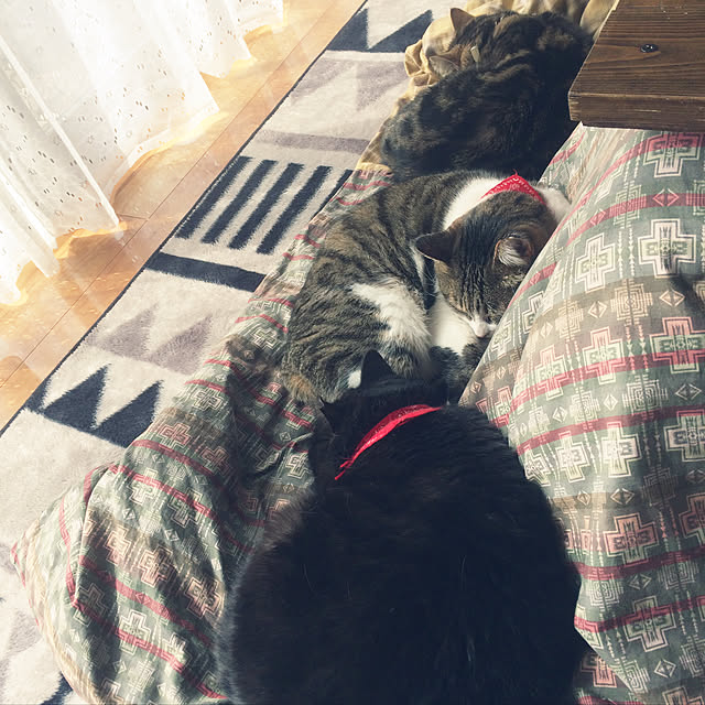 annさんの実例写真