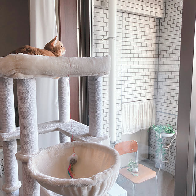Atelier.mさんの実例写真