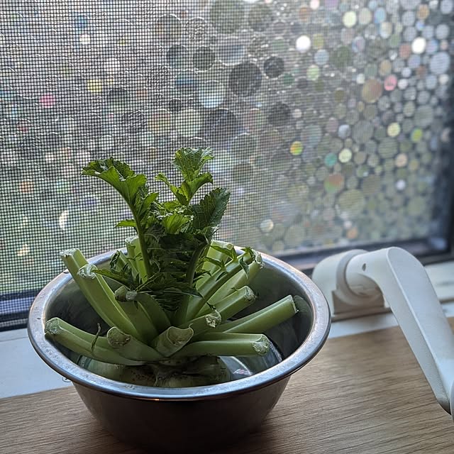 reeさんの部屋