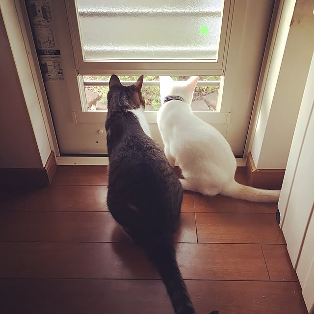 Rettiさんの実例写真