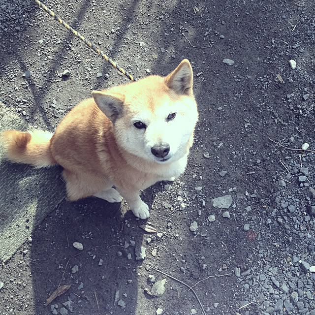 6aime2さんの実例写真