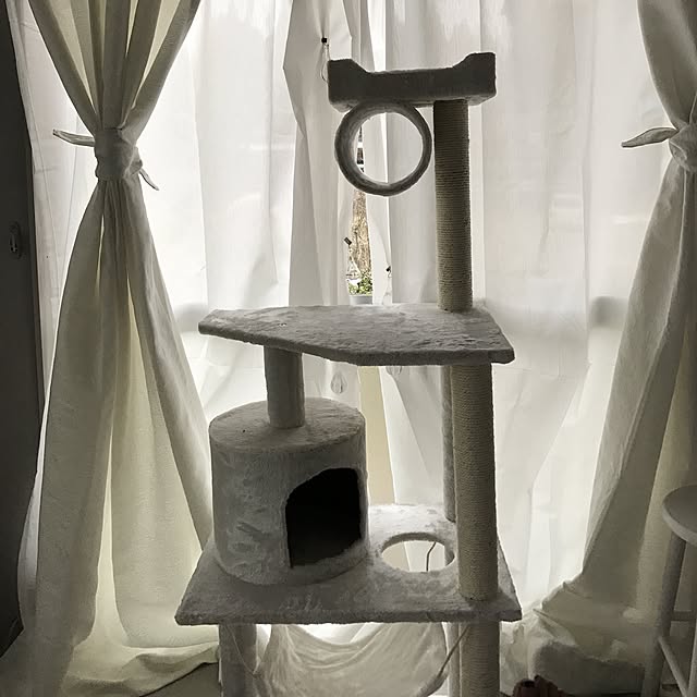 Shihoさんの実例写真