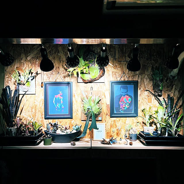 GiriGiriさんの部屋