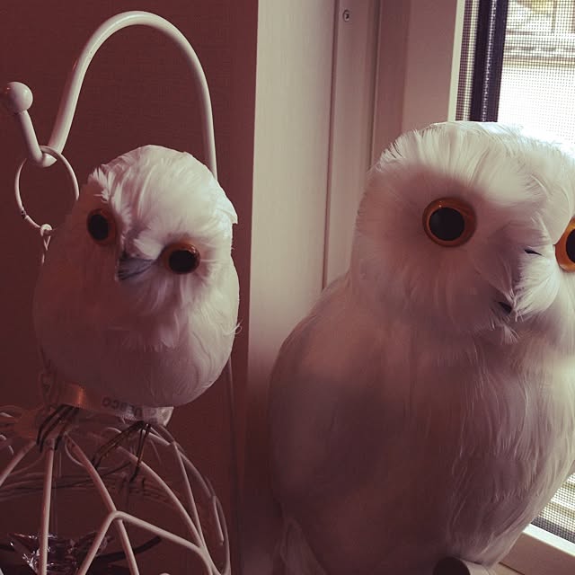 ALPSさんの実例写真