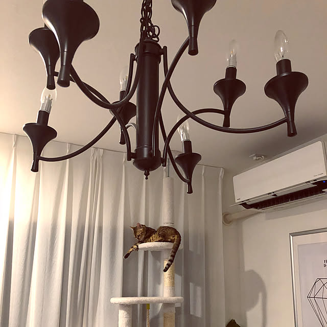 iranさんの実例写真