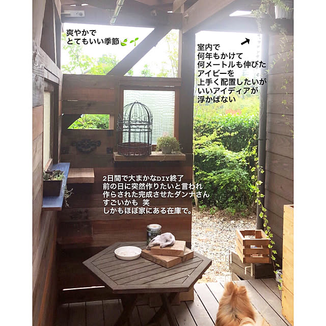 naho81078さんの実例写真