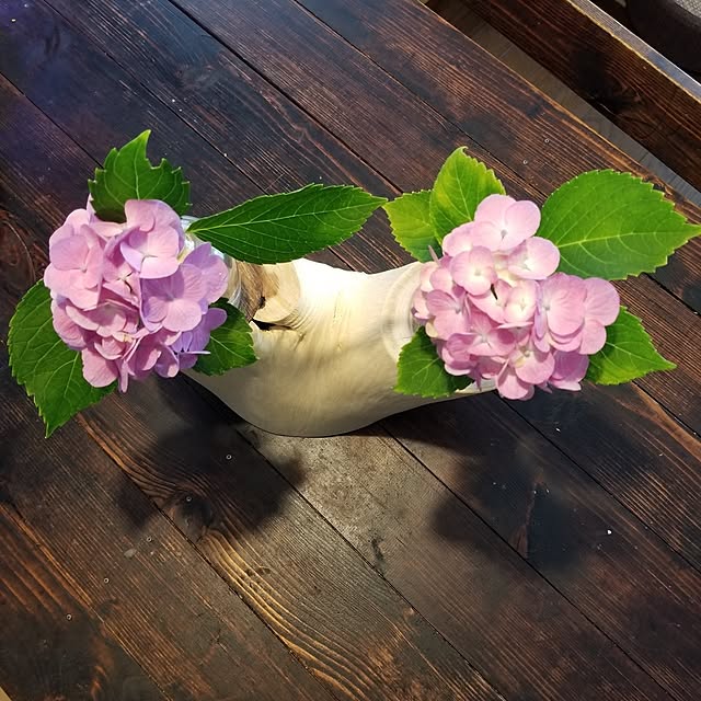 midoriさんの部屋