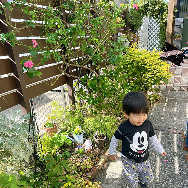 hinamamaさんの部屋