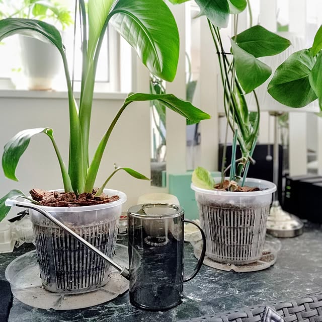 MOMOMAMAさんの実例写真