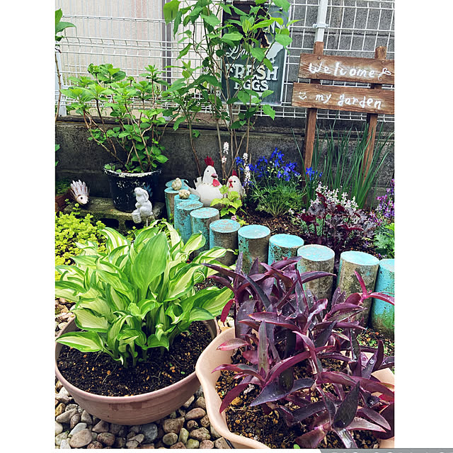 CoCo0617さんの部屋