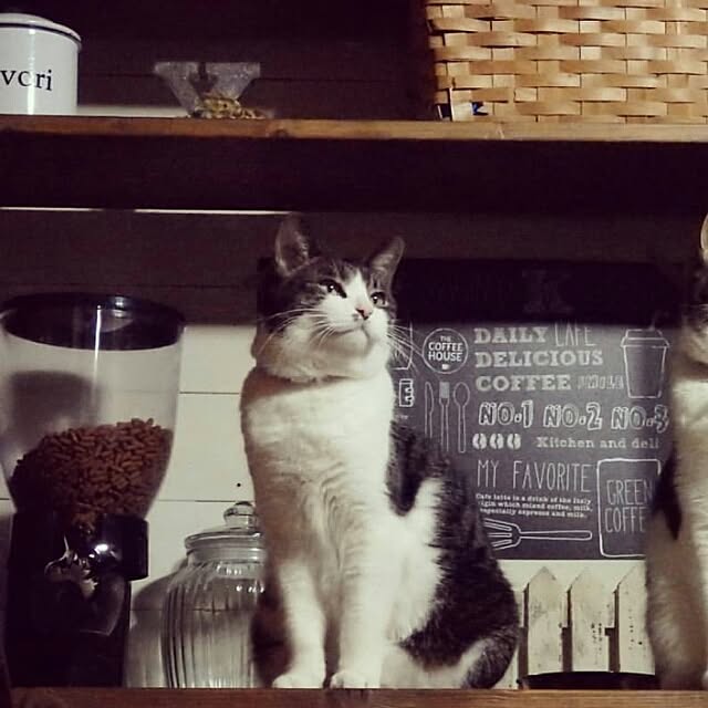 yukiさんの実例写真