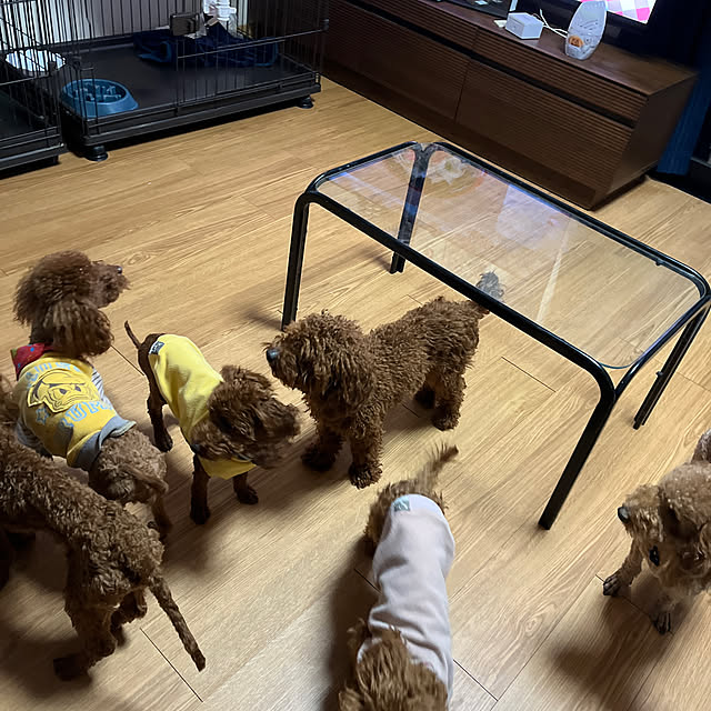 momoさんの実例写真