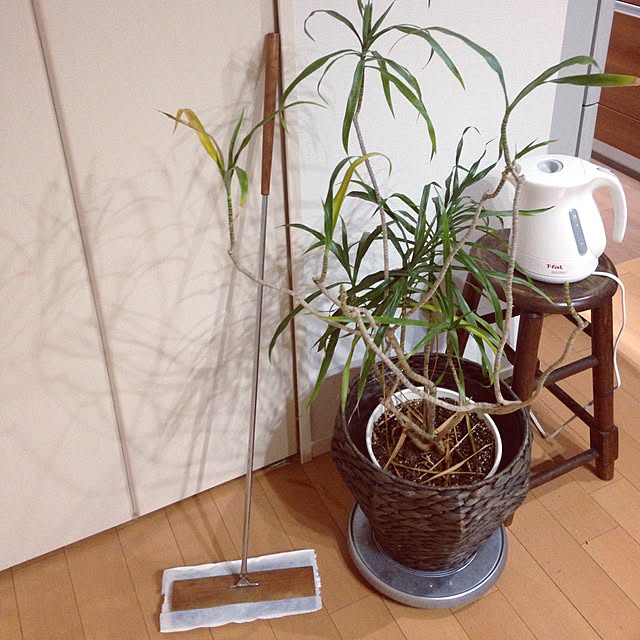 nozomiyaさんの実例写真