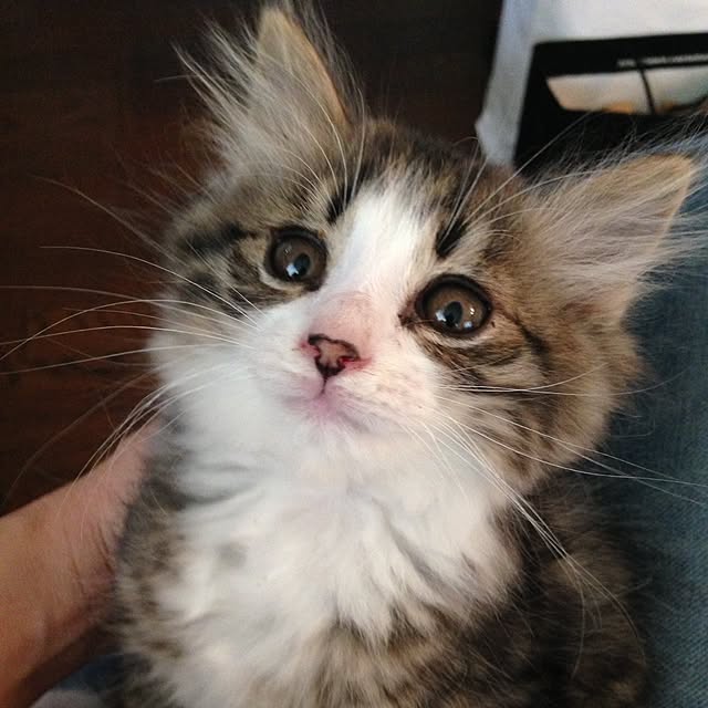 fuuさんの実例写真