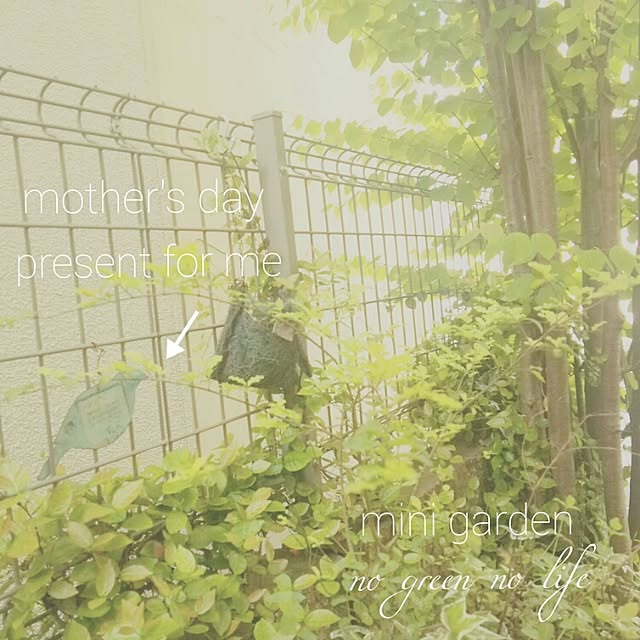 nico.さんの実例写真