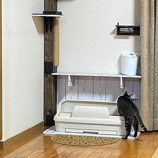 Mugiさんの実例写真
