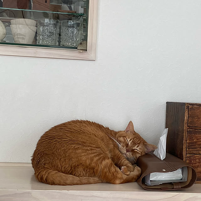 Hisashiさんの実例写真
