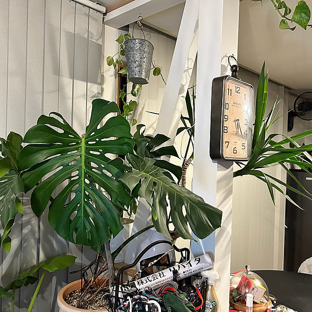 ywww69さんの部屋