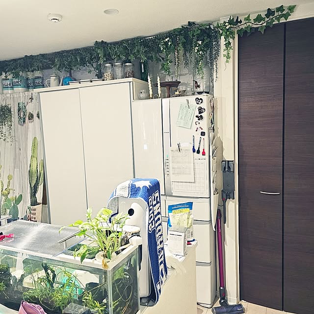 GaudisHouseさんの部屋