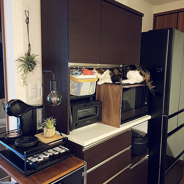 tansukeさんの部屋