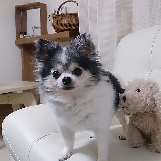 6023mitsuさんの実例写真