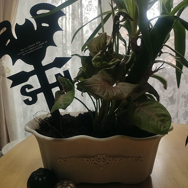 neoyukikoさんの実例写真