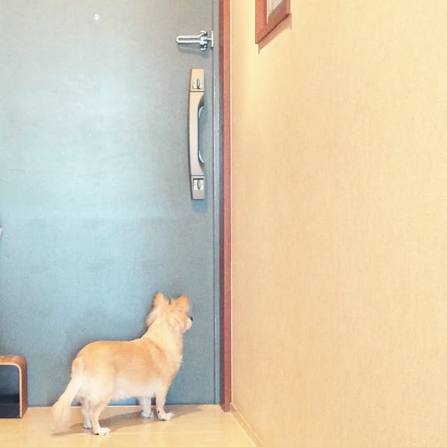 Yumigonさんの実例写真