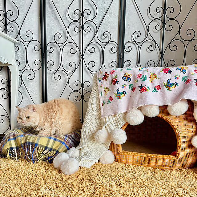 naokoさんの部屋